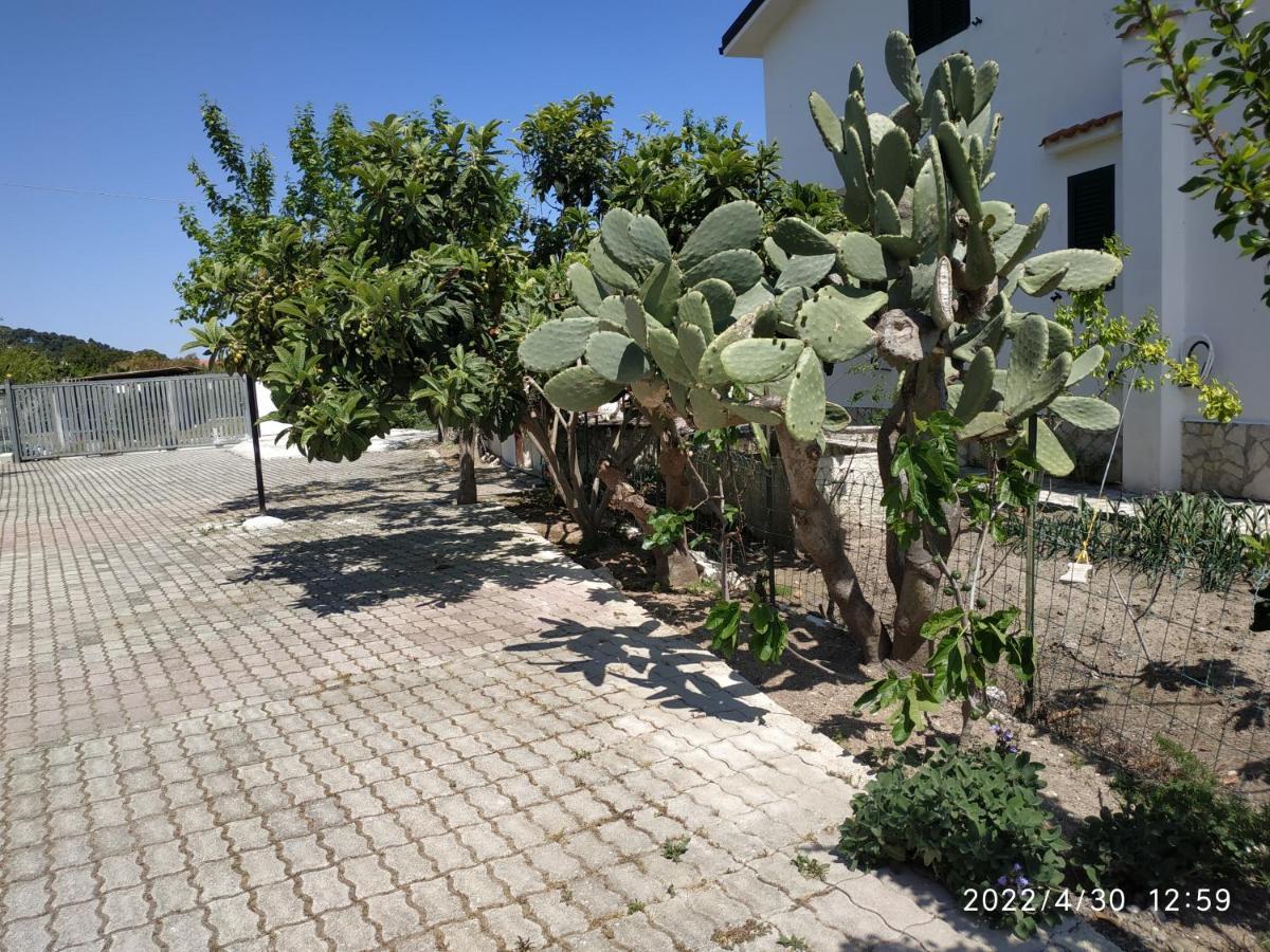 Villa Scialara Vieste Luaran gambar
